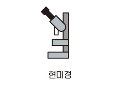 현미경