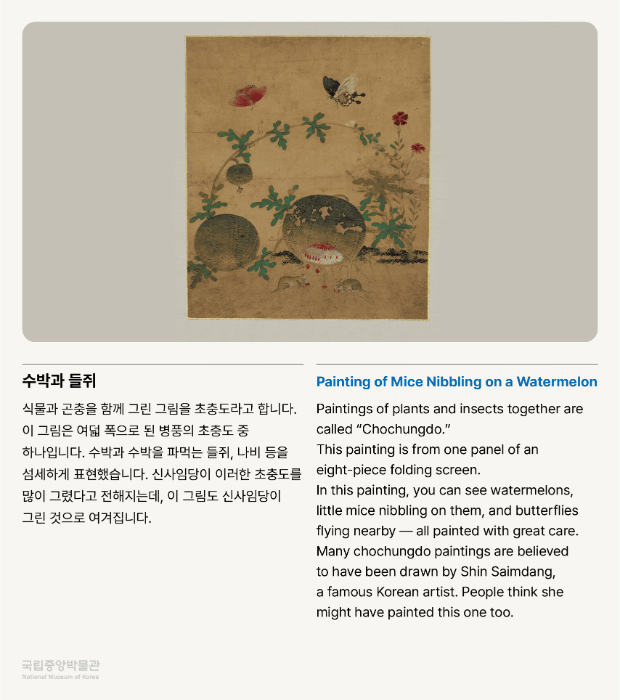 수박과 들쥐 식물관 곤충을 함께 그린 그림을 초충도라고 합니다. 이 그림은 여덟 폭으로 된 병풍의 초충도 중 하나입니다. 수박과 수박을 파먹는 들쥐, 나비 등을 섬세하게 표현했습니다. 신사임당이 이러한 초충도를 많이 그렸다고 전해지는데, 이 그림도 신사임당이 그린 것으로 여겨집니다. 국립중앙박물관 NATIONAL MUSEUM OF KOREA