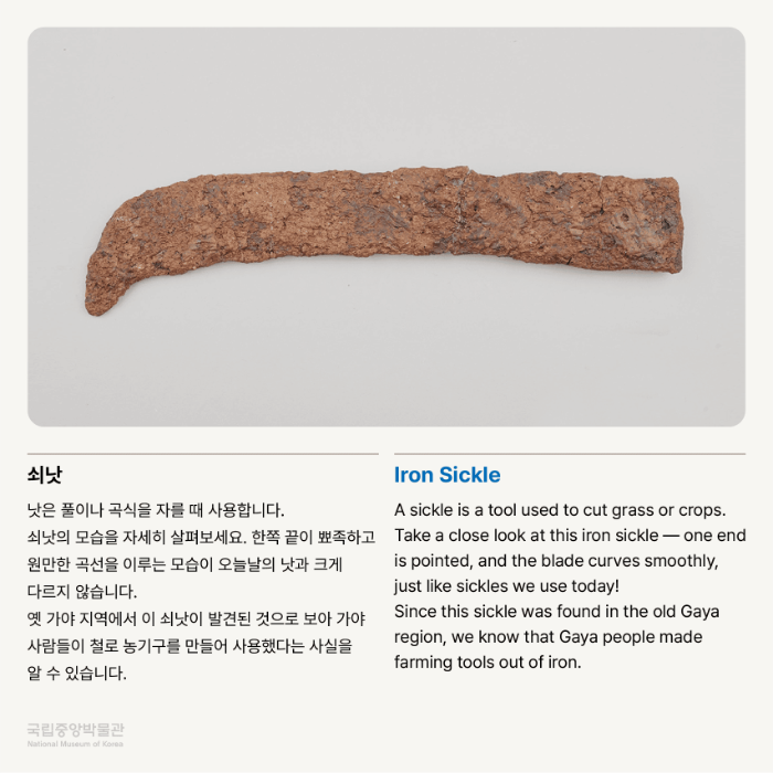 쇠낫 낫은 풀이나 곡식을 자를 때 사용합니다.  쇠낫의 모습을 자세히 살펴보세요. 한쪽 끝이 뾰족하고 원만한 곡선을 이루는 모습이 오늘날의 낫과 크게 다르지 않습니다.